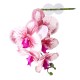 Pangea Reptile Hanging Orchids White