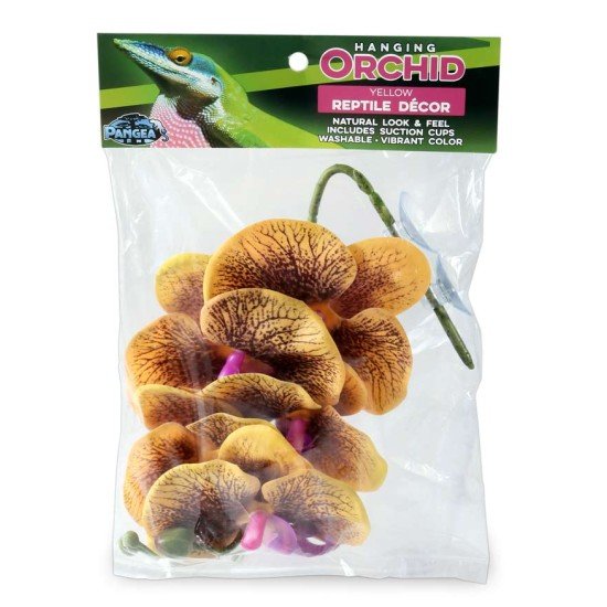 Pangea Reptile-WHO-OY-Pangea Reptile Hanging Orchids Yellow