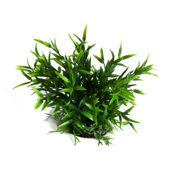 RepTech Terrarium Plant Fine Leaves RepTech Terrarium Plant Fine Leaves