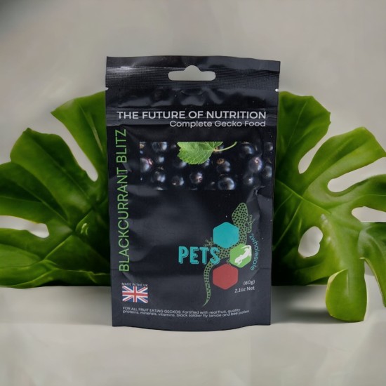 -GDBCUR60-Gecko Diet Blackcurrant Blitz 60g
