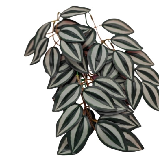 -Hangplant Green / White 30cm-Hanging Plant Green / White 30cm for Terrariums