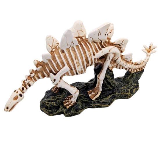 -PA0077A-Stegosaurus Skelett 2