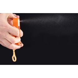 Reptiglobe Hand Sanitizer 50ml (Desinfecterende Spray)