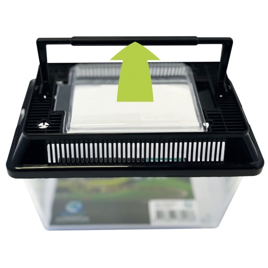 Repto-R1100225-Repto Box 18x11x12cm