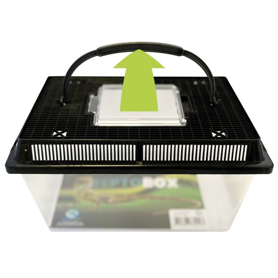 --Repto Box 27 X 17 X 16CM