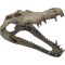 REPTO Deco Crocodile Skull L