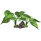 REPTO Plant on Deco Light Green