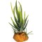 Repto Plant Aloe Green