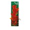 Repto Pflanze Ranken Orange Hedera 60cm