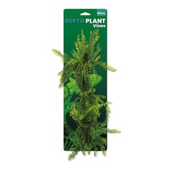 Repto Plant Vines Green Asparagus 60cm