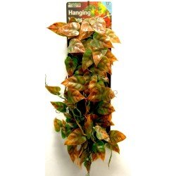 Reptology Vigne pour reptiles vert/marron 30cm Reptology Vigne pour reptiles vert/marron 30cm