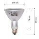 Solar Raptor-ECO10007-Solar Raptor UVB HID Lamp 50W