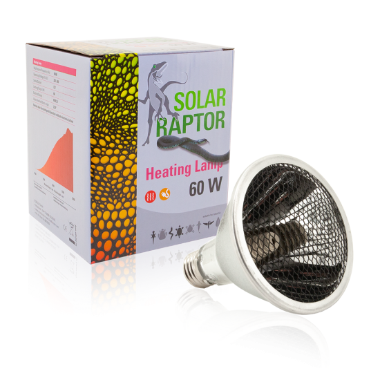 Solar Raptor-10623-Solar Raptor Heating Lamp 60w