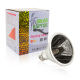 Solar Raptor-10623-Solar Raptor Heating Lamp 60w