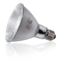 Solar Raptor Halogeen Spot 100W