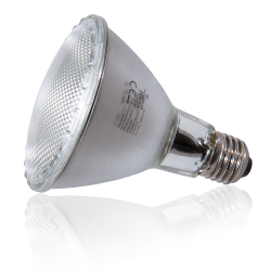 Solar Raptor Halogeen Spot 100W