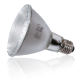 Solar Raptor-00013500-Solar Raptor Halogeen Spot 100W