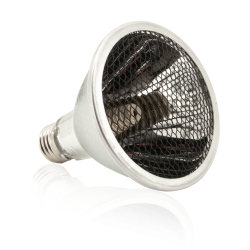 Solar Raptor Heating Lamp 60w