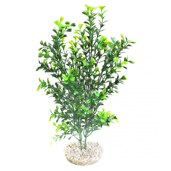 Sydeco-380/343-Sydeco natural curly plant 32cm