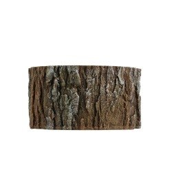 Abri pour reptiles Terra Della Arbre brun petit Abri pour reptiles Terra Della Arbre brun petit