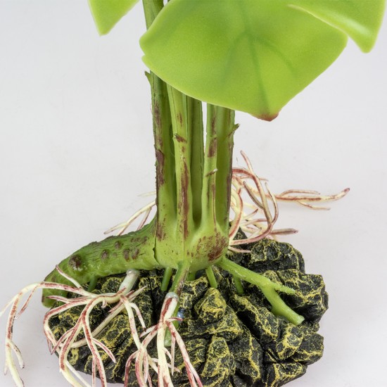 --Terra Della Monstera groen Small