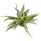 Terra Della-243/486931-Terra Della Varen Groen XL kunstplant Terra Della-243/486931-Terra Della Varen Groen XL kunstplant