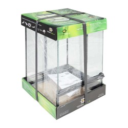 Terra Della Terrarium en verre noir 21x21x30cm