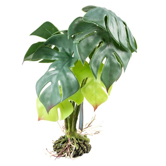Terra Della-242/480793-Terra Della Monstera grün mittel Kunstpflanze für Terrarien Terra Della-242/480793-Terra Della Monstera grün mittel Kunstpflanze für Terrarien