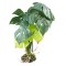 Terra Della Monstera Grün Medium