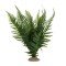 Terra Della Fern Grün Medium