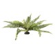 Terra Della-243/486931-Terra Della Varen Groen XL kunstplant Terra Della-243/486931-Terra Della Varen Groen XL kunstplant
