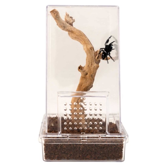 Zoo Med-CT-JSK-Zoo Med Jumping Spider Kit
