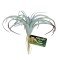 Zoo Med Naturalistic Flora Tilandsia Air Plant