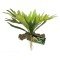 Zoo Med Naturalistic Staghorn Fern