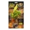 Zoo Med Desert Flora Tree Houseleek