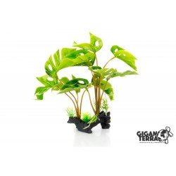 GiganTerra Stehende Pflanze Philodendron Monstera