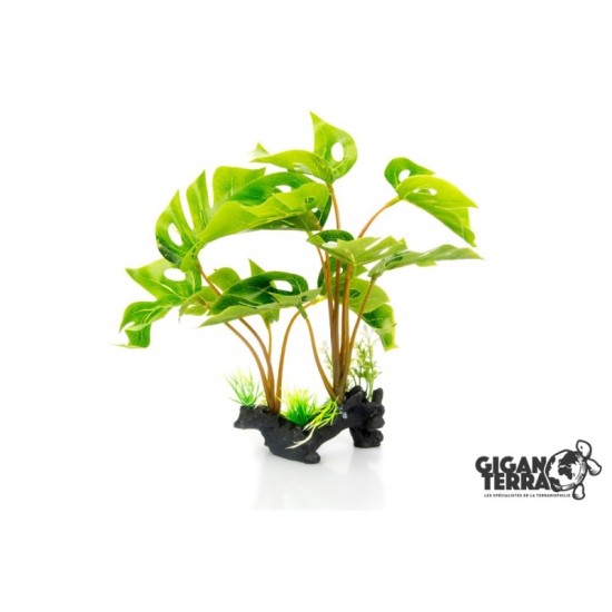 GiganTerra-G04-00233-GiganTerra Staande Plant Philodendron Monstera