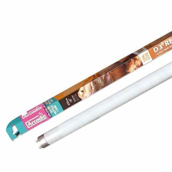 Arcadia-RFD3P18-Arcadia 12% Desert D3 lampe pour reptiles T8 18W 600 mm Arcadia-RFD3P18-Arcadia 12% Desert D3 lampe pour reptiles T8 18W 600 mm