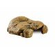 Exo Terra Reptil itil Höhle XL 2017 PT2933