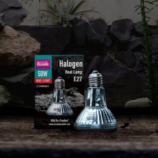 Arcadia-R2100155-Arcadia Halogen Basking Spot 50w