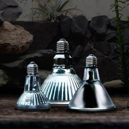 Arcadia-R2100160-Arcadia Halogen Basing Spot 75w