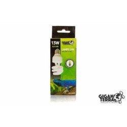 GiganTerra Fluo Compact 26w 5.0 GiganTerra Fluo Compact 26w 5.0