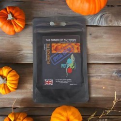 P2W Gecko Diät Kürbiskuchen 60gr