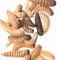Doosje Black Soldier Fly Worms (calciwormen) 1kg