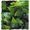 Zoo Med Mexican Phyllo Medium artificial plant for terrariums