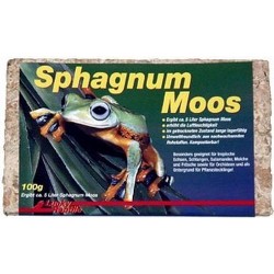 Lucky Reptile Spaghnum Moos 100gr