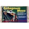 Lucky Reptile Spaghnum Moss 100gr