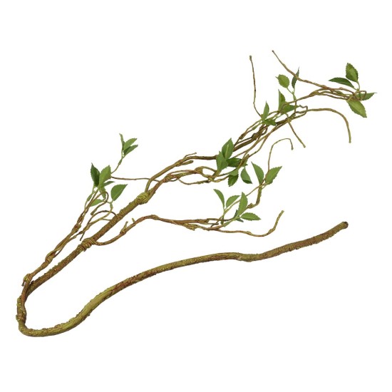 236/469927, Terra Della Plantentak dun Groen 130cm 236/469927, Terra Della Plantentak dun Groen 130cm